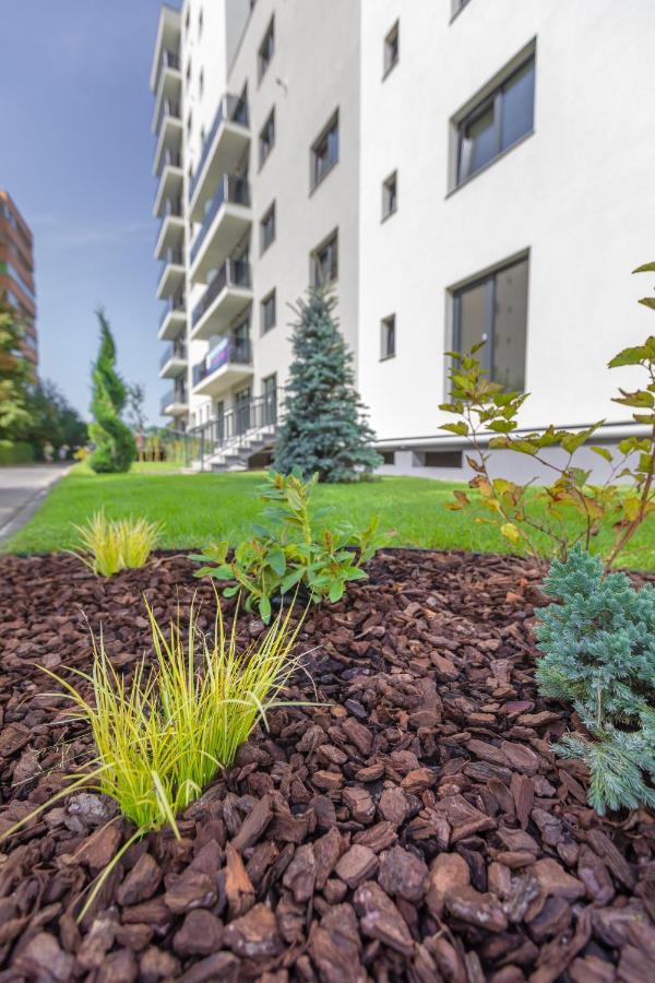 Avram Iancu Apartments Brasov Exterior photo